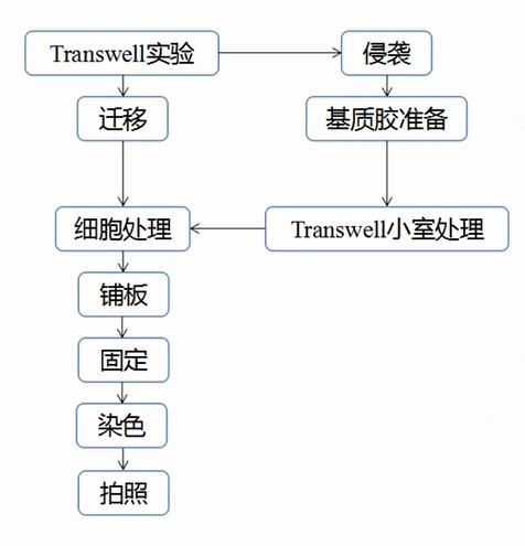 手机怎么双清操作步骤详解